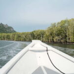 Langkawi: Private 2-Hour Mangrove Tour with Hotel Transfer - The Value of a Private Boat Tour