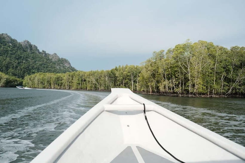 Langkawi: Private 2-Hour Mangrove Tour with Hotel Transfer - The Value of a Private Boat Tour