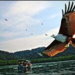 Langkawi Return Airport Transfers (Combo Arrival & Departure) - The Value of This Transfer Service