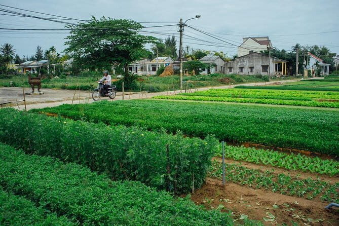 Lantern making class and Tra Que Bike Tour - Who Should Consider This Tour?