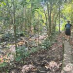 Largest zipline/Cave & Biausevu waterfall Discovery tour - Real Experiences from Travelers