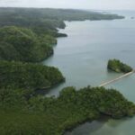 Las Terrenas: Los Haitises Boat and Walking Tour with Lunch - Who Is This Tour Best For?