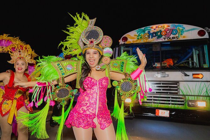 Latin Caribbean Sunset Party Bus tour with Karaoke - Who Would Love This Tour?