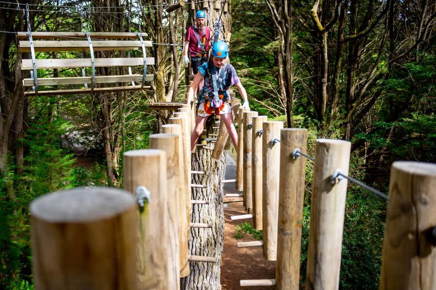 Launceston: Hollybank Tree Ropes Course - Practical Tips for Your Visit