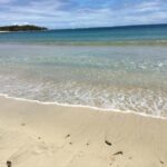 Lautoka Cruise Ship to Natadola Beach Round Trip - Practical Tips for Making the Most of Your Day