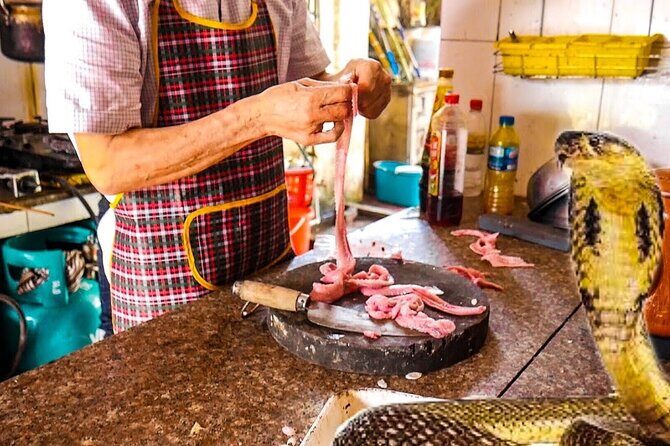 Le Mat Snake Village Tour with 10 Dishes in Hanoi - Final Thoughts: Who Will Find This Tour Most Rewarding?