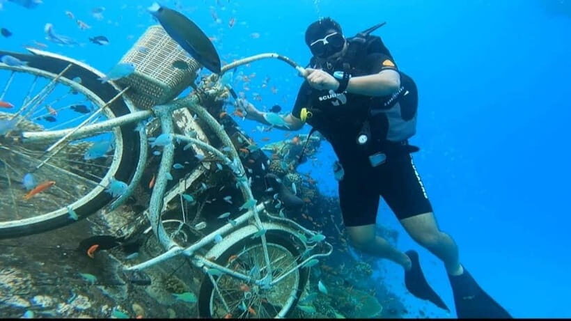 Learn Diving in Maldives - Learning to Dive in the Maldives: A Practical and Authentic Guide