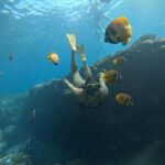 Lembongan: Manta Bay, Turtle Bay, & Gamat Bay Snorkeling - The Itinerary: What You’ll See and Experience