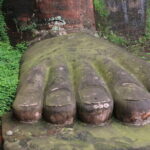 Leshan Giant Buddha day tour with tea Tasting Terrace view - Detailed Review of the Tour Experience