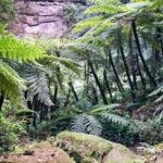 Leshan Giant Buddha Private Tour & Jurassic Expedition - Who Would Love This Tour?