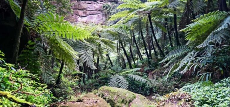 Leshan Giant Buddha Private Tour & Jurassic Expedition - A Deep Dive into the Experience