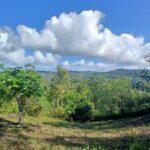 Lethe Mountain Valley Hiking - Who Will Love This Tour?