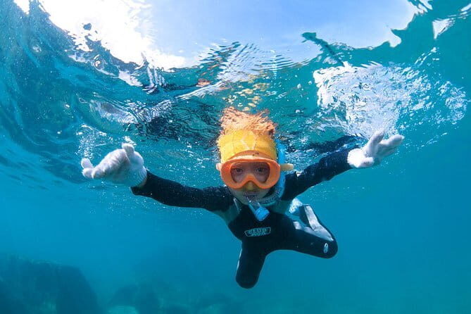 Let's swim with sea turtles in Yakushima!Snorkeling Tour - The Sum Up