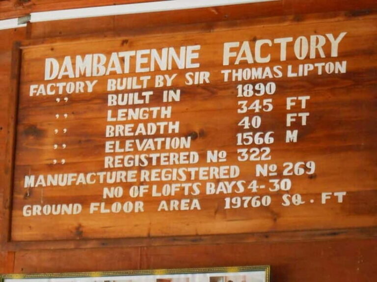 Lipton's Seat, Adisham Bungalow, Dambetenna Tea Factory Tour - How Does The Price Reflect The Value?