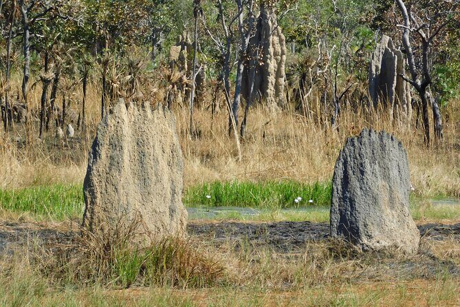 Litchfield Park & Jumping Crocodile Cruise - What Makes This Tour Truly Valuable