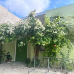 Local island(Himmafushi) tour from Male'/ Hulhumale Maldives - Why This Tour Offers Great Value