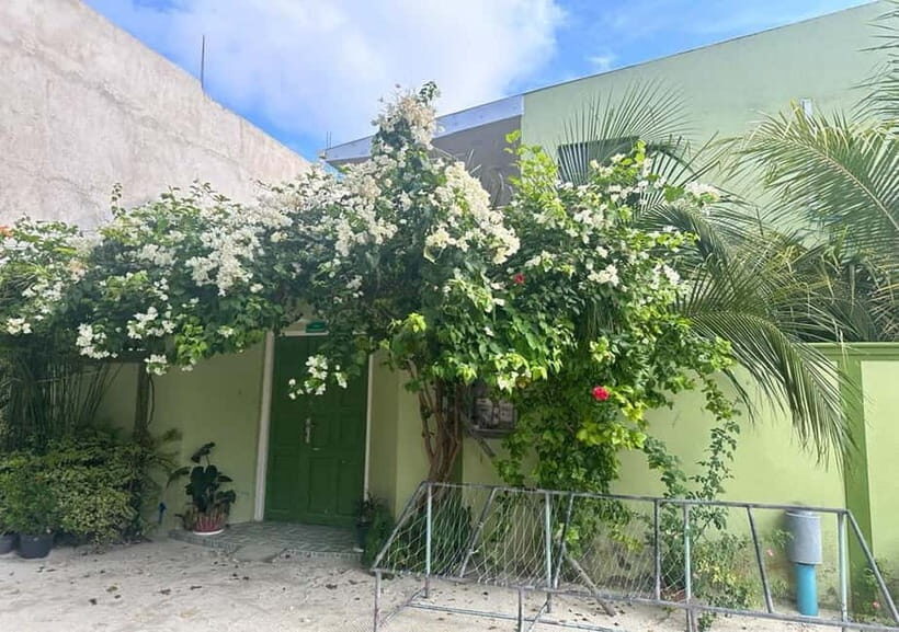 Local island(Himmafushi) tour from Male'/ Hulhumale Maldives - Why This Tour Offers Great Value