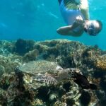 Lombok: 3 Secret Gili Snorkeling Trip & Traditional Heritage - What We Loved About the Tour