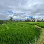 Lombok: Benang Kelambu & Stokel Waterfall, Culture & Beach - Exploring Lombok’s Waterfalls and Highland Charm