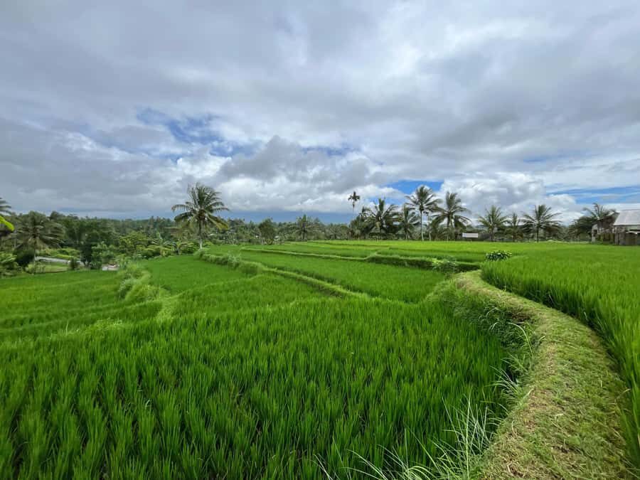Lombok: Benang Kelambu & Stokel Waterfall, Culture & Beach - Exploring Lombok’s Waterfalls and Highland Charm