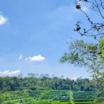 lombok : black monkey , rice terace ,waterfall tetebatu - In-Depth Breakdown of the Itinerary