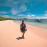 Lombok Day Tour: SukararaVillage, Pink Beach&Gili Snorkeling - Pink Beaches: Surreal Sands and Stunning Views