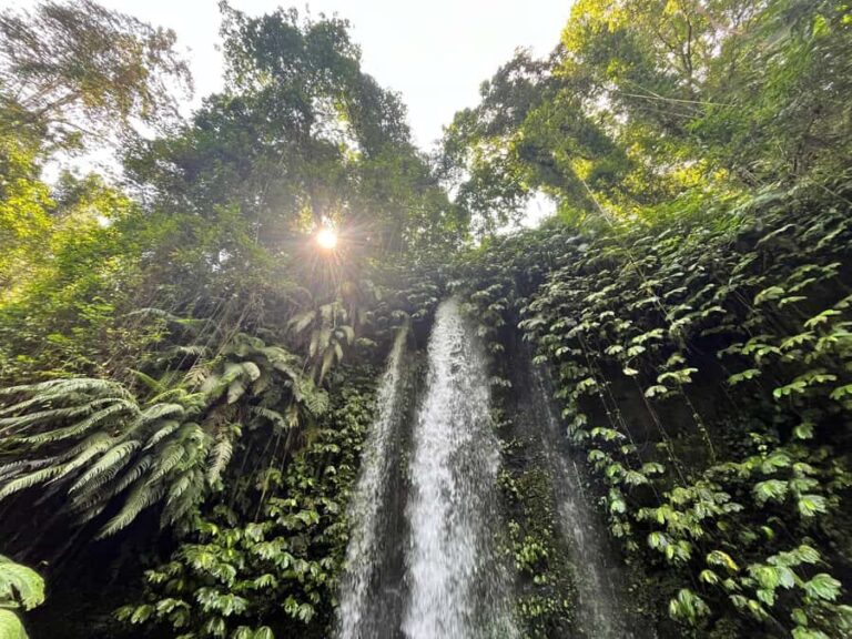 Lombok : Explore 4 Waterfall, Heritage & City Tour. - Cultural and Heritage Sites  