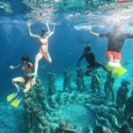 Lombok : Gili Islands Private Snorkeling Tour - What Makes This Tour Stand Out