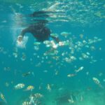 Lombok: Gili Nanggu, Kedis, and Sudak Islands Boat Tour - An In-Depth Look at the Tour