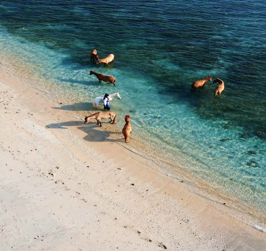 Lombok : Gili Snorkeling Trip (Goleng, Asahan, Layar) - The Sum Up