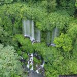 Lombok Hidden Waterfalls Walk, Rice Fields & Weaving Village - Who Will Love This Experience?