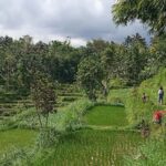 Lombok: Hiking Tour to Tete Batu Village - Practical Details and What to Prepare
