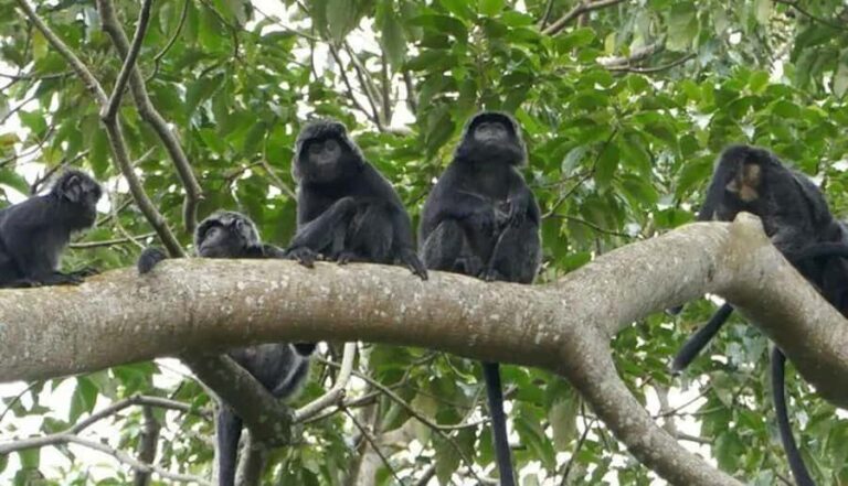 Lombok: Hiking Tour to Tete Batu Village - Transportation, Group Size, and Practicalities