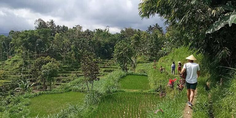 Lombok: Hiking Tour to Tete Batu Village - Practical Details and What to Prepare
