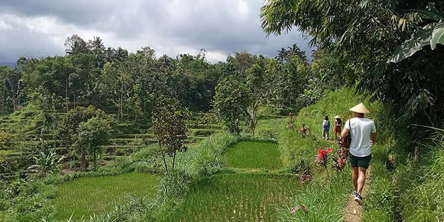 Lombok: Hiking Tour to Tete Batu Village - Practical Details and What to Prepare