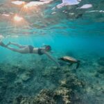 Lombok: Mataram City, Pusuk Monkey Forest & Beach Tour - Who This Tour Is Perfect For