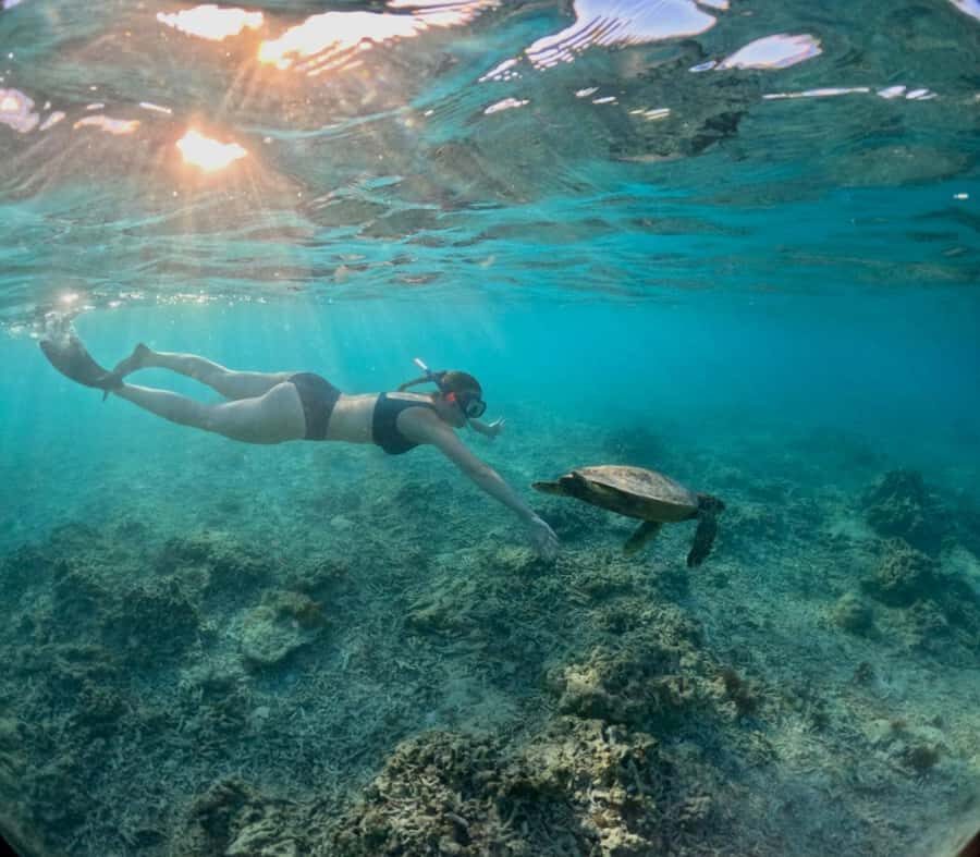 Lombok: Mataram City, Pusuk Monkey Forest & Beach Tour - Who This Tour Is Perfect For