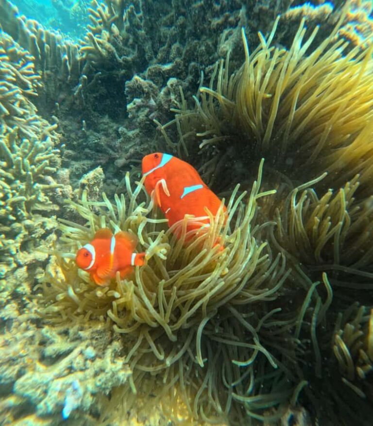 Lombok: Private Snorkeling Trip toGili Asahan, Rengit &Gilis - The Itinerary Breakdown: What to Expect at Each Stop