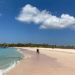 Lombok : Sand island, gili petelu, gili gambir & pink beach - The Sum Up