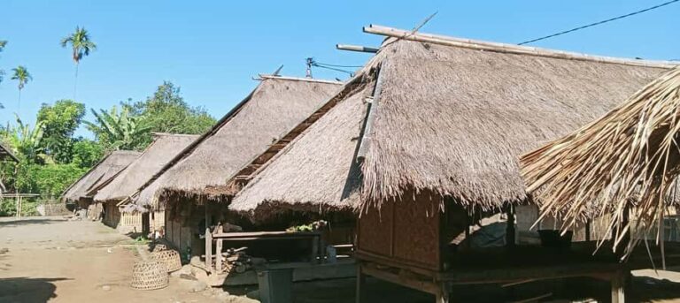 Lombok Senaru: Sasak Village, Waterfall & River Tubing Tour - In-Depth Look at the Tour Experience