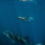 Lombok : Sharing Whale Shark Tour 2 Day 1 Night Sumbawa - Final Thoughts