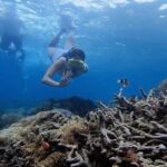 Lombok Snorkeling to Gili Nanggu, Tangkong, Sudak and Kedis - Gili Sudak: Serenity and Underwater Beauty