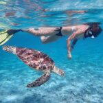 Lombok : Snorkeling Trip (Gili Trawangan, Meno & Gili Air) - An In-Depth Look at the Tour Experience