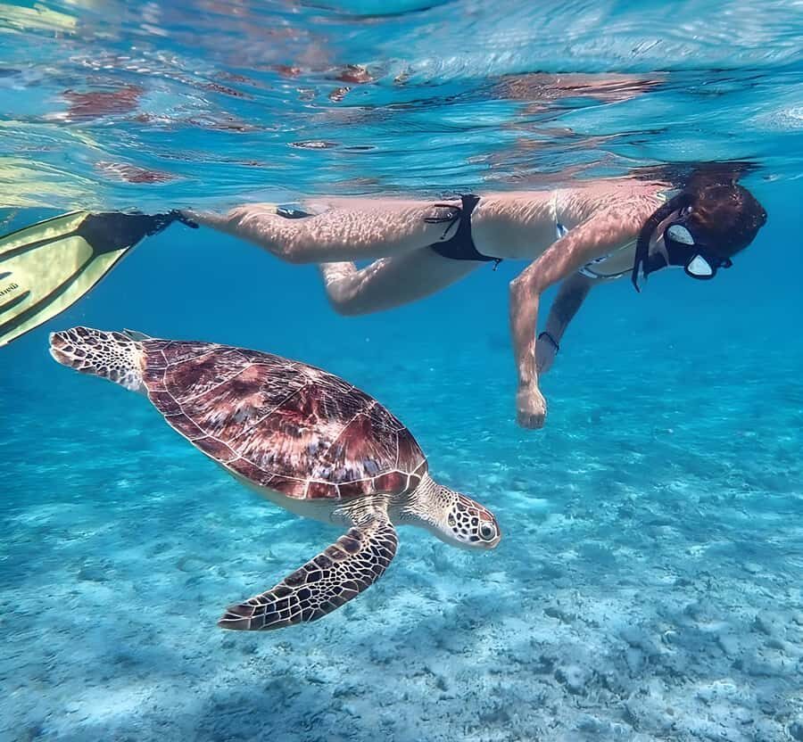 Lombok : Snorkeling Trip (Gili Trawangan, Meno & Gili Air) - An In-Depth Look at the Tour Experience