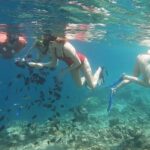 Lombok: Snorkeling Trip Secret Gilis Layar, Rengit & Gede - Authentic Insights from Travelers