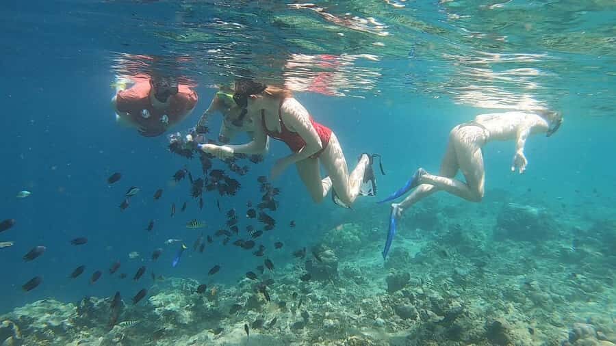 Lombok: Snorkeling Trip Secret Gilis Layar, Rengit & Gede - Authentic Insights from Travelers
