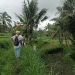 Lombok: Waterfall Benang Kelambu & Rice field Trip - Who Should Consider This Tour?