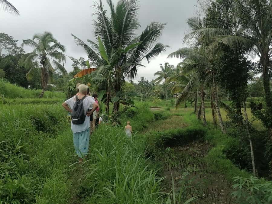 Lombok: Waterfall Benang Kelambu & Rice field Trip - Who Should Consider This Tour?