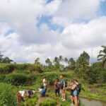 Lombok: Waterfall & Rice Field with Coffee Roasting - A Deep Dive into the Experience
