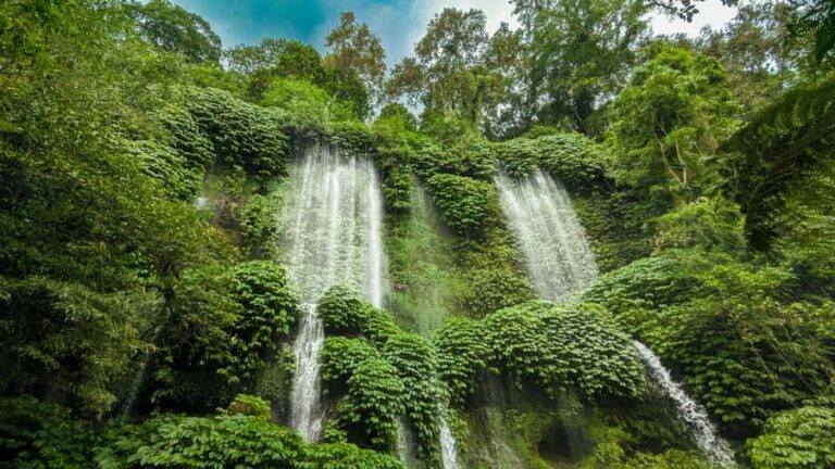 Lombok: Waterfall & Rice Field with Coffee Roasting - What Makes This Tour Stand Out?